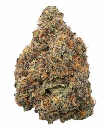 THCa Acai Sherbet Indoor Living Soil Flower