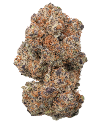 THCa Black Dolphin Indoor Hydro