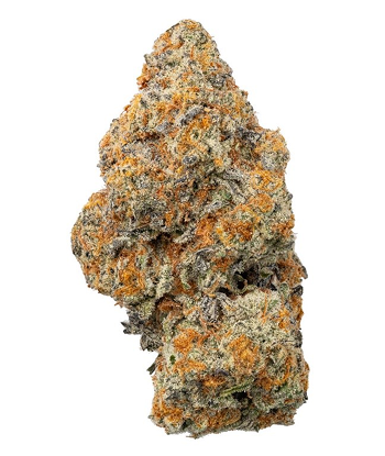 THCa Lobster Butter Indoor Living Soil Flower