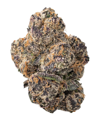 Tropical Smoothie THCa Flower (Hybrid)